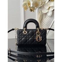 Dior Lady D-joy mini2